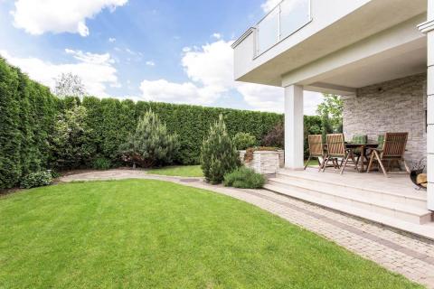 Onderhoud tuin met gras en haag